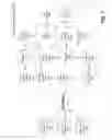 Fig. 04 - Systems and Methods for Gathering, Merging, and Returning Data Describing a Person from Data Aggregated from Multiple Remote Data Sources
