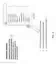 Fig. 16 - SYSTEMS AND METHODS FOR CONTEXTUALIZING SERVICES FOR INLINE MOBILE BANNER ADVERTISING