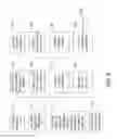 Fig. 07 - System for payment, data management, and interchanges for use with global shopping cart
