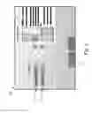 Fig. 04 - Methods and systems supporting online shopping as a shared and social activity