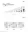 Fig. 06 - Method and apparatus for synthesis of higher resolution images