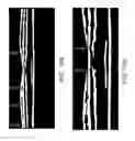 Fig. 10 - Segmentation and identification of layered structures in images