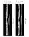 Fig. 11 - Segmentation and identification of layered structures in images