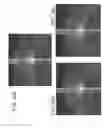 Fig. 29 - Segmentation and identification of layered structures in images