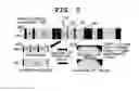 Fig. 06 - Method for quantifying medical image