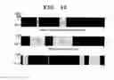 Fig. 11 - Method for quantifying medical image