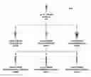 Fig. 01 - Hierarchy-based character rigging