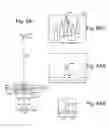 Fig. 10 - Opacity filter for display device