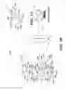 Fig. 02 - Systems and methods for asset tracking using an ad-hoc mesh network of mobile devices