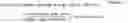 Fig. 14 - Collision detection system