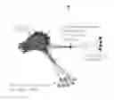 Fig. 01 - Mathematical language processing: automatic grading and feedback for open response mathematical questions