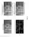 Fig. 14 - Re-interpolation with edge detection for extracting an aging pattern for AMOLED displays