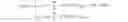 Fig. 03 - AMOLED pixel unit, method for driving the same, and display device