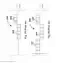 Fig. 05 - Methods and apparatus for driving electro-optic displays