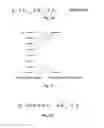 Fig. 19 - Methods and apparatus for driving electro-optic displays