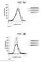 Fig. 04 - System and method for automatic detection of abnormal stress patterns in unit selection synthesis
