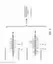 Fig. 04 - Speech recognition using associative mapping