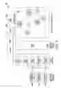 Fig. 04 - TILED GRAMMAR FOR PHRASE SPOTTING WITH A PERSISTENT COMPANION DEVICE