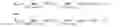 Fig. 12 - Method of detecting a predetermined frequency band in an audio data signal, detection device and computer program corresponding thereto