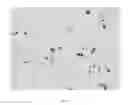 Fig. 03 - Masterbatches for preparing composite materials with enhanced conductivity properties, process and composite materials produced