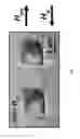 Fig. 06 - Method and equipment for magnetic nanopatterning of substrates