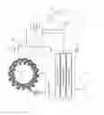 Fig. 12 - Double helix conductor with counter-rotating fields