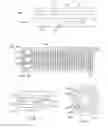 Fig. 07 - Methods and devices for securing and transporting singulated die in high volume manufacturing