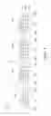 Fig. 05 - Integrated circuit package with probe pad structure