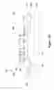 Fig. 12 - Integrated circuit package with probe pad structure