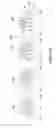 Fig. 26 - Integrated circuit package with probe pad structure