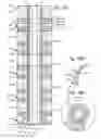 Fig. 09 - Contact for vertical memory with dopant diffusion stopper and associated fabrication method