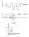 Fig. 11 - Contact for vertical memory with dopant diffusion stopper and associated fabrication method
