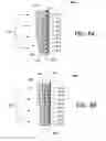 Fig. 09 - Variable optical filter and a wavelength-selective sensor based thereon