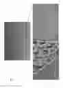 Fig. 09 - METHODS OF FABRICATING SILICON NANOWIRES AND DEVICES CONTAINING SILICON NANOWIRES