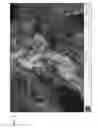 Fig. 10 - METHODS OF FABRICATING SILICON NANOWIRES AND DEVICES CONTAINING SILICON NANOWIRES