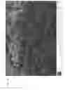 Fig. 17 - METHODS OF FABRICATING SILICON NANOWIRES AND DEVICES CONTAINING SILICON NANOWIRES