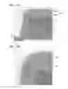 Fig. 16 - Semiconductor device