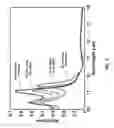 Fig. 04 - Photodetector with Interdigitated Nanoelectrode Grating Antenna
