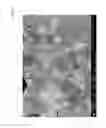 Fig. 13 - Method for manufacturing thermoelectric materials