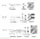 Fig. 02 - Twin engineering to improve the switchability and rotatability of polarizations and domains in ferroelectric and piezoelectric materials