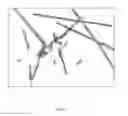 Fig. 06 - COMPOSITE ORGANIC MATERIALS AND APPLICATIONS THEREOF