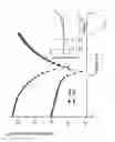 Fig. 08 - COMPOSITE ORGANIC MATERIALS AND APPLICATIONS THEREOF