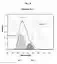 Fig. 07 - ORGANIC LIGHT EMITTING DISPLAY