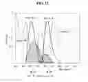Fig. 14 - ORGANIC LIGHT EMITTING DISPLAY