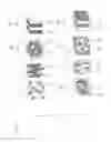 Fig. 08 - Optoelectronic Component and Method for Producing an Optoelectronic Component