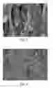 Fig. 03 - MULTI-LAYERED POROUS FILM AND METHOD FOR PREPARING THE SAME
