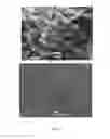Fig. 03 - Multilayered sulfur composite cathodes for lithium sulfur batteries