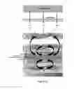 Fig. 07 - Multilayered sulfur composite cathodes for lithium sulfur batteries
