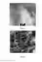 Fig. 08 - Multilayered sulfur composite cathodes for lithium sulfur batteries