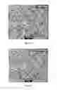 Fig. 10 - Multilayered sulfur composite cathodes for lithium sulfur batteries